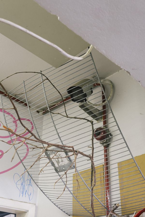 Imagery from Brazil’s Political Impasse
