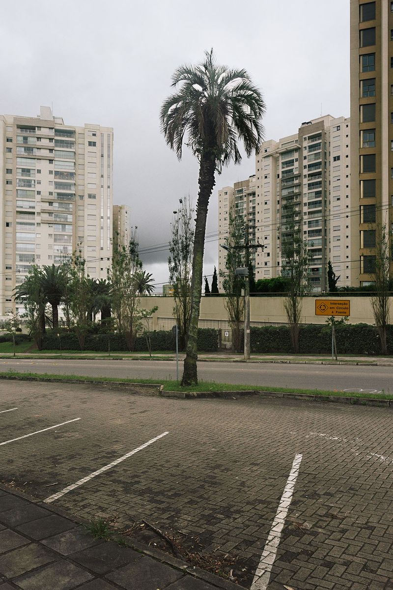 Imagery from Brazil’s Political Impasse