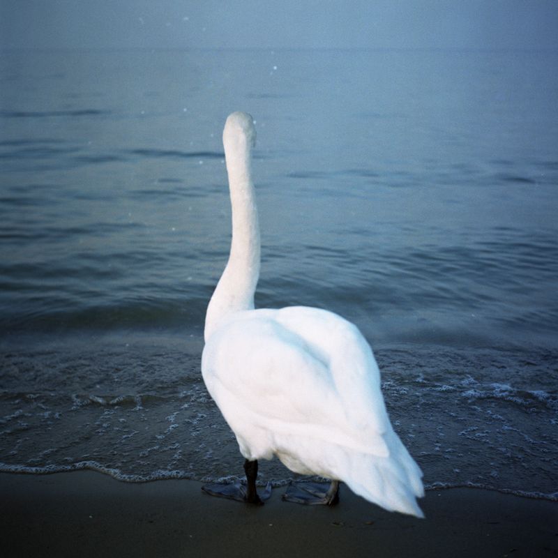 Moving to Poland in Search of Inner Freedom