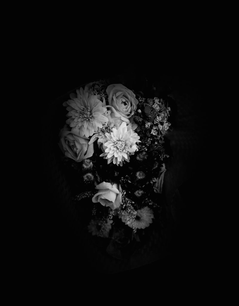 An Intimate Lebanese Journey