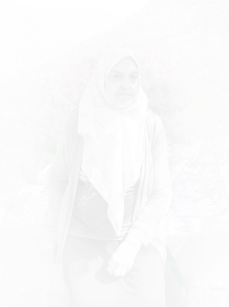 An Intimate Lebanese Journey