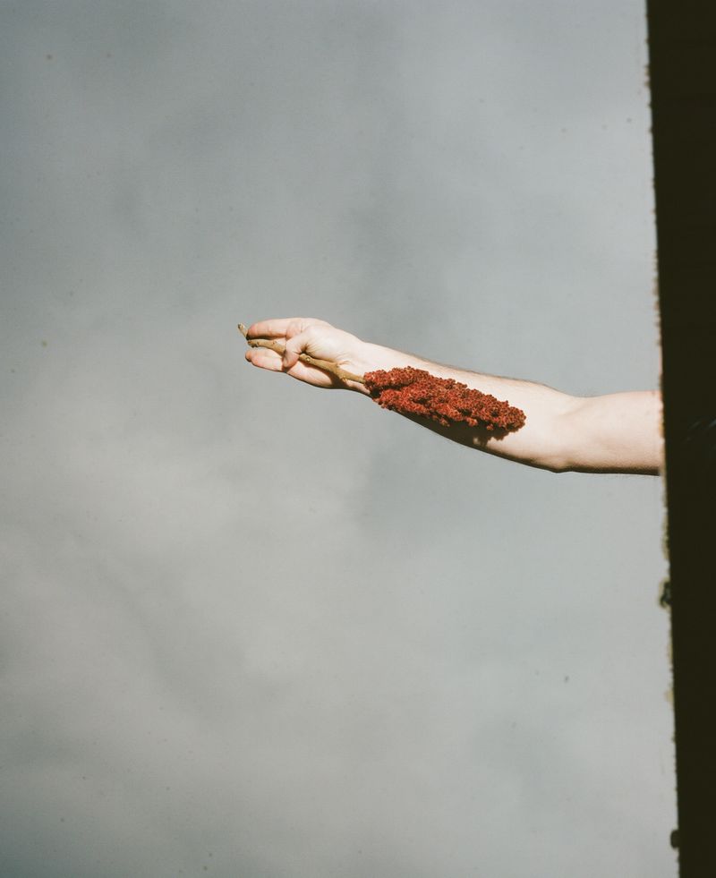 Peter Pflügler and the Power of Feelings in Leading Towards Hidden Truths of His Family’s Past