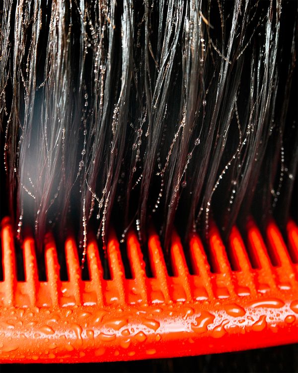 Nicole Schwartz Investigates Identity by Analyzing the Depiction of Oneself in Family Images