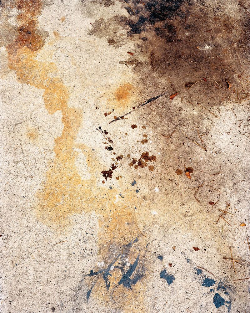 Nicole Schwartz Investigates Identity by Analyzing the Depiction of Oneself in Family Images