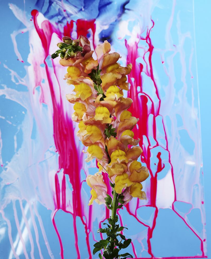 A Colourful Study on Decoration