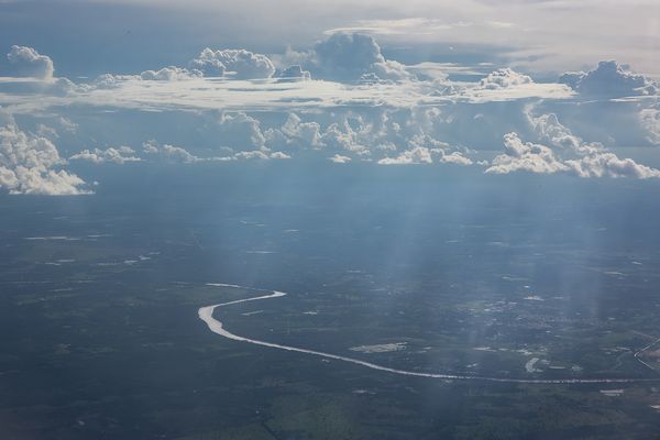 A Look Inside the Brazilian Meat Industry