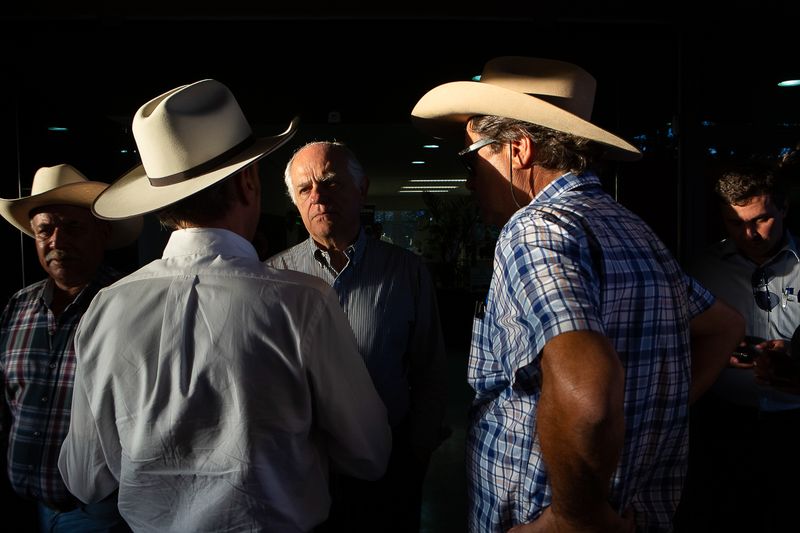 A Look Inside the Brazilian Meat Industry