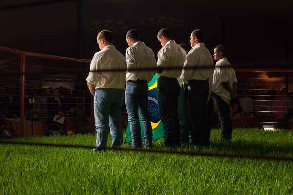 A Look Inside the Brazilian Meat Industry