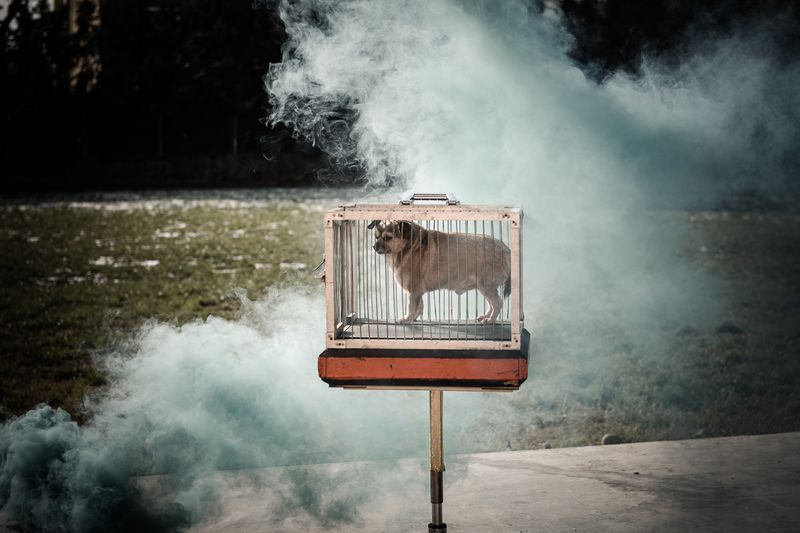 © Gianluca Micheletti, from the series Igor