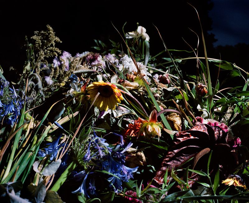 © Piotr Karpinski. Death No 1 