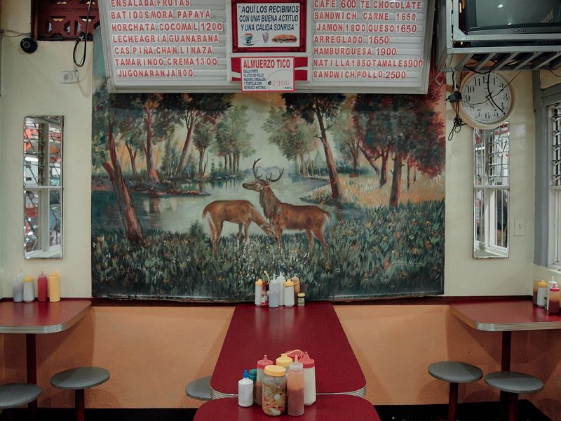 The Landscape as a Representation of Time and Memory