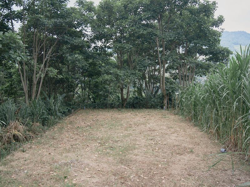 The Landscape as a Representation of Time and Memory