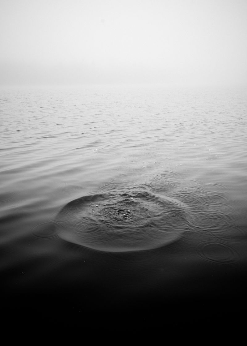 A Connection with Nature Through Intimate Motifs