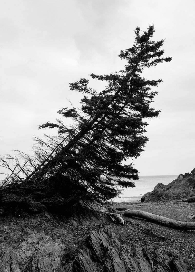 A Connection with Nature Through Intimate Motifs