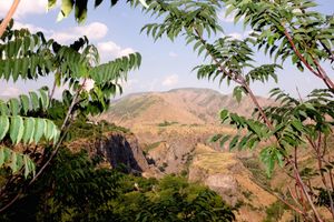 Main Reasons to Apply to the PhMuseum Women Photographers Grant