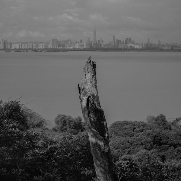 The Blurred Boundaries of a Fast-Changing History