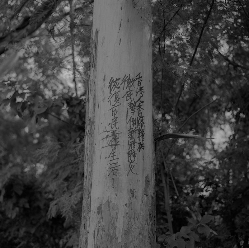 The Blurred Boundaries of a Fast-Changing History