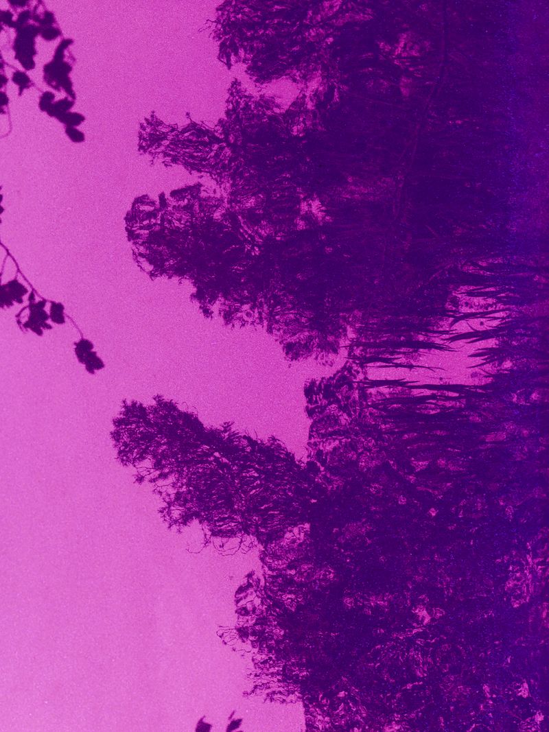 © Matthieu Litt, IDEA 2025/26 Alumni