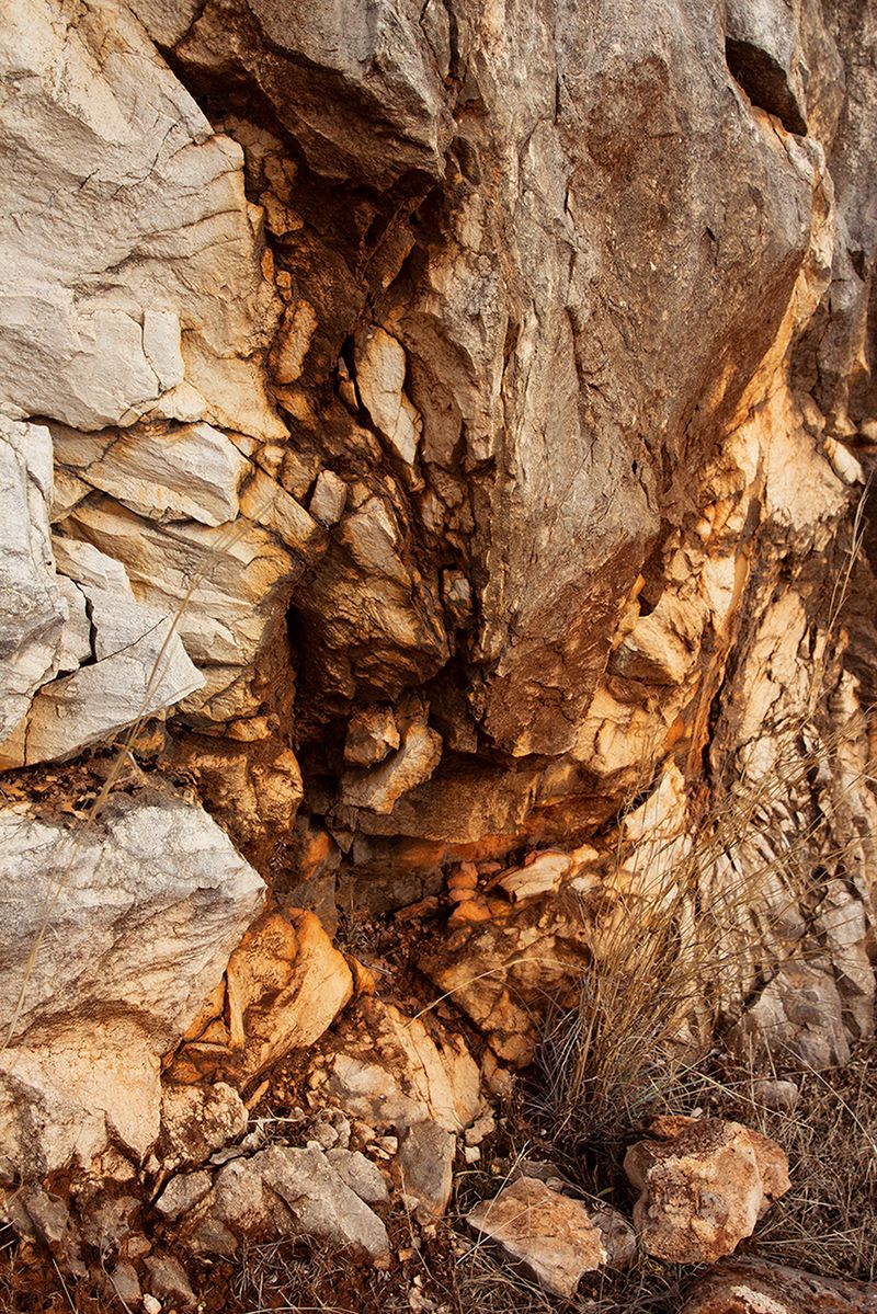 An Old Box of Negatives Inspires a Modern Take on Women’s Strengths