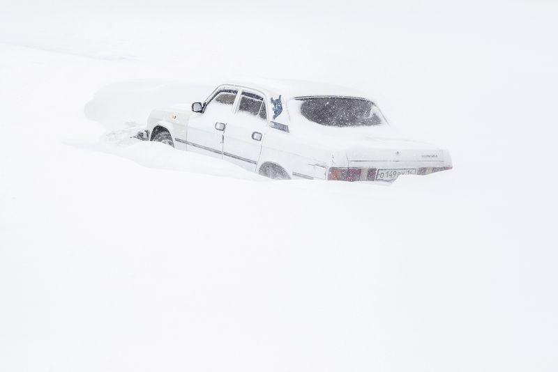 The White Contrast of a Vibrant Collectivity