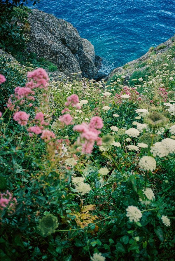 © Carolina Pimenta, MIA Photo Fair