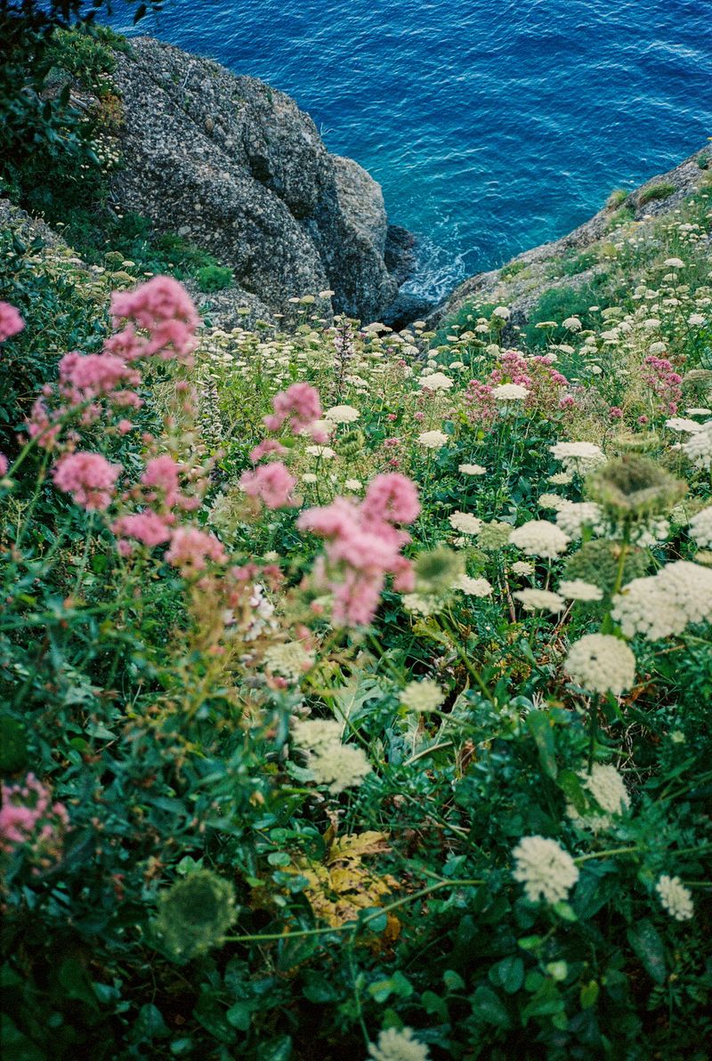 © Carolina Pimenta, MIA Photo Fair