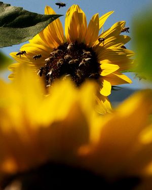 A Guide to November 2025 Photography Festivals & Exhibitions