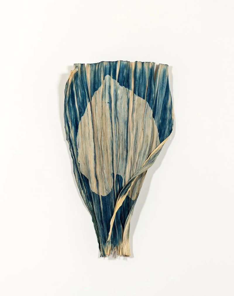 © Elizabeth Z. Pineda