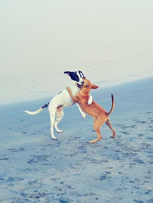 Join The New PhMuseum 2026/27 Online Masterclasses Program