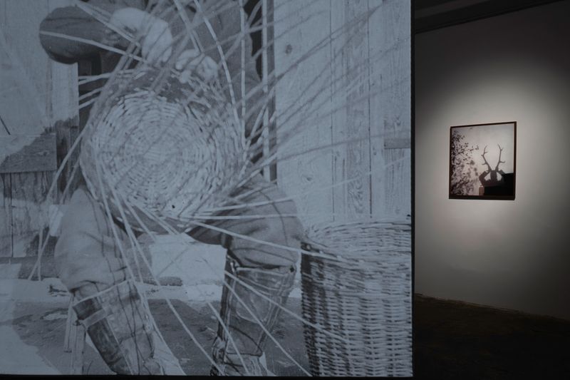 Peter Pflügler Discusses His Exhibition HANS At PhMuseum Lab