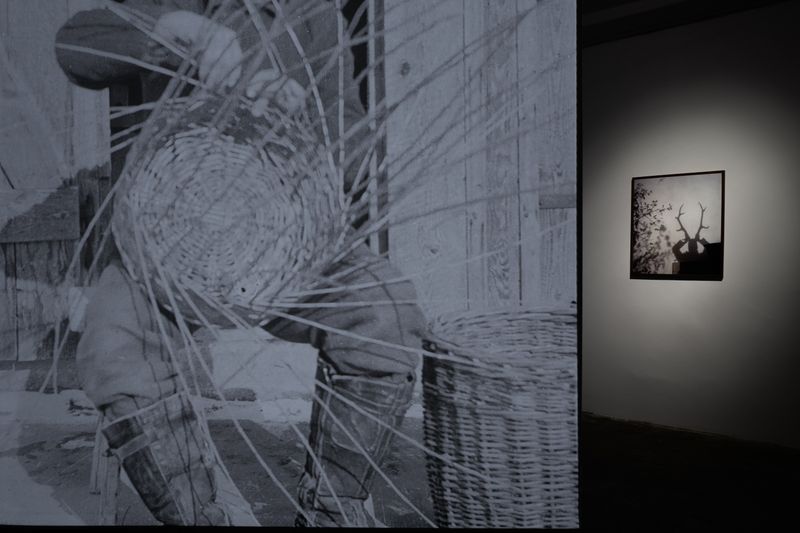 Peter Pflügler Discusses His Exhibition HANS At PhMuseum Lab