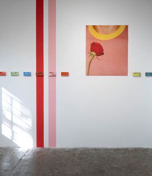 Sander Coers On His Exhibition Eulogy At PhMuseum Lab