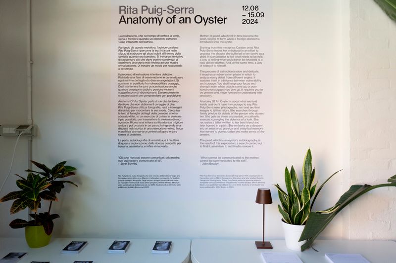 Rita Puig-Serra On Her Exhibition Anatomy Of An Oyster At PhMuseum Lab