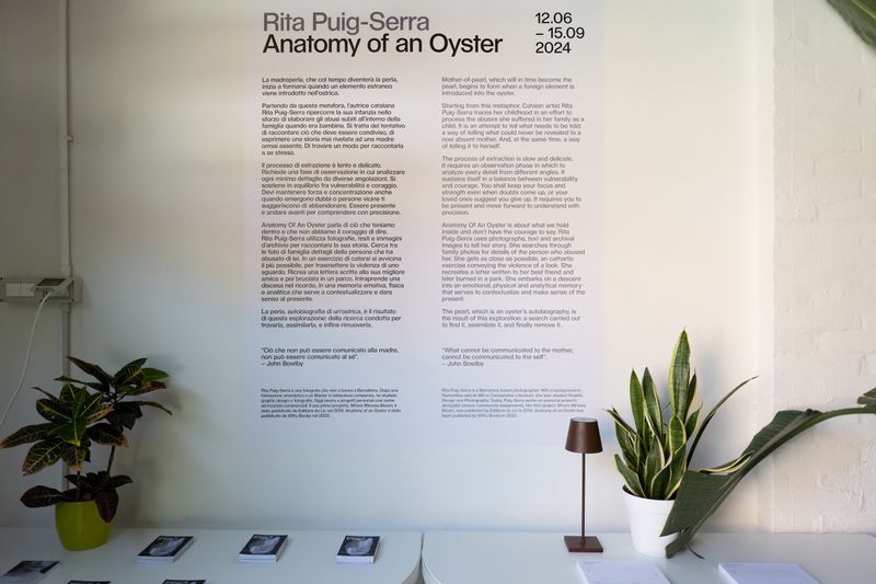 Rita Puig-Serra On Her Exhibition Anatomy Of An Oyster At PhMuseum Lab