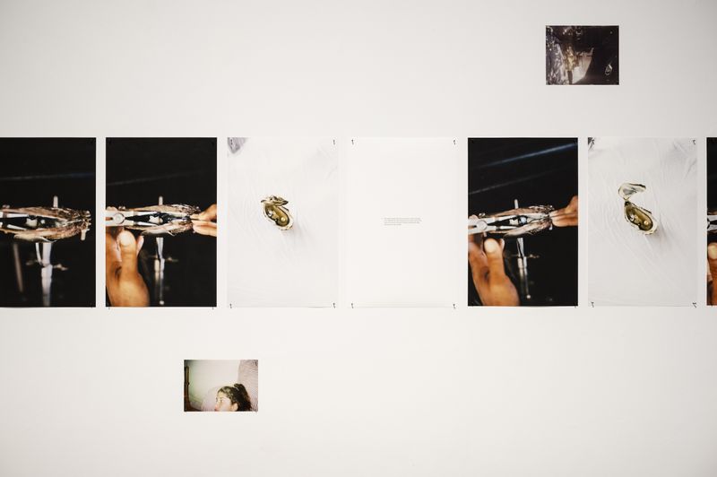 Rita Puig-Serra On Her Exhibition Anatomy Of An Oyster At PhMuseum Lab