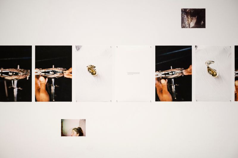 Rita Puig-Serra On Her Exhibition Anatomy Of An Oyster At PhMuseum Lab