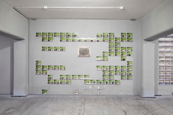 Surveillance As Care: Utu-Tuuli Jussila On Exhibiting At PhMuseum Days