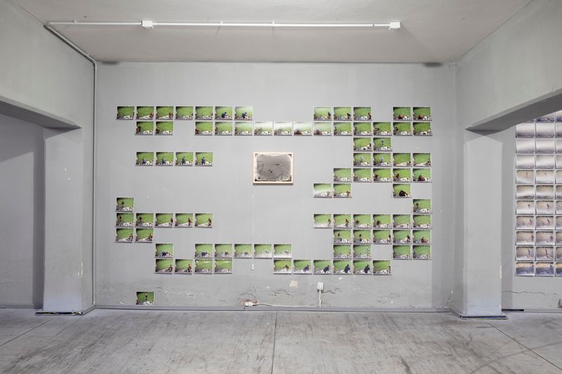 Surveillance As Care: Utu-Tuuli Jussila On Exhibiting At PhMuseum Days