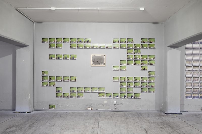 Installation view of Härmä/Hoar by Utu-Tuuli Jussila, exhibited during PhMuseum Days 2024 © PhMuseum