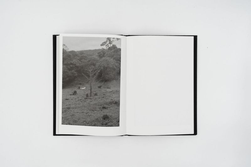 © Allan Salas, The Rooted Heart Began To Change, published by Witty Books