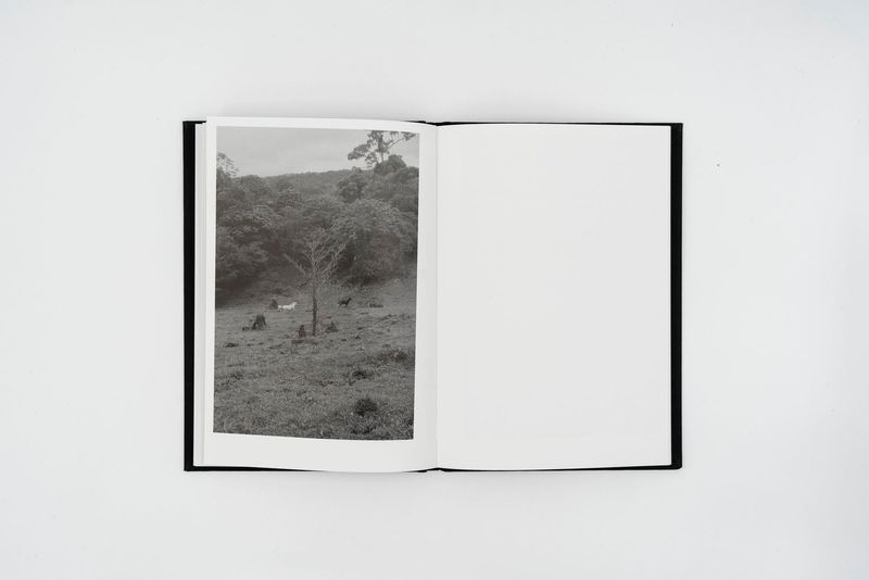 © Allan Salas, The Rooted Heart Began To Change, published by Witty Books