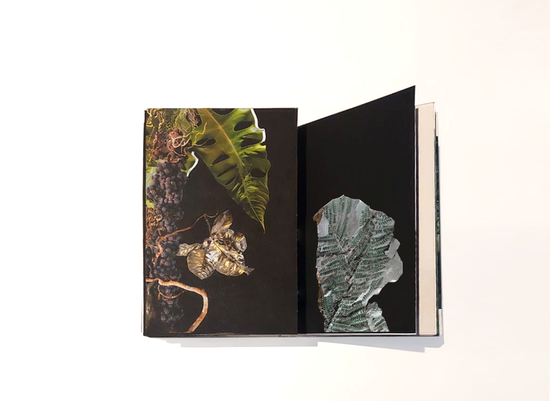 Browse The Dummies Shortlisted For PhMuseum's First Publishing Award At Photobook Mania 2025