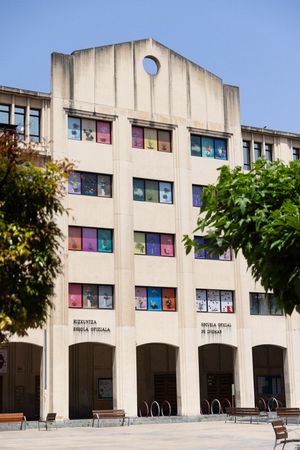 Ann Shelton On Her Exhibition Jane Says At Getxophoto