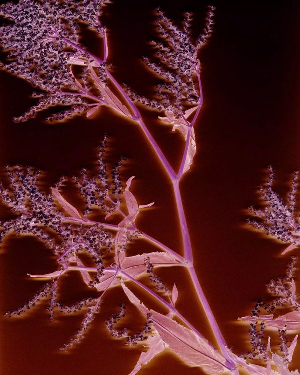 © Marine Lanier, Les Rencontres d'Arles