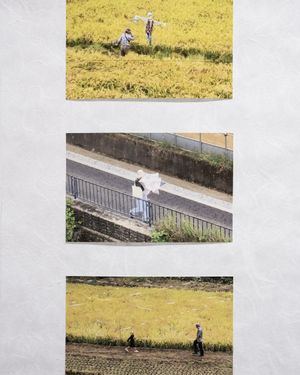 Cintia Tortosa Santisteban On Her Exhibition Screenshots From A Series Of Videos About A Rice Field At PhMuseum Lab