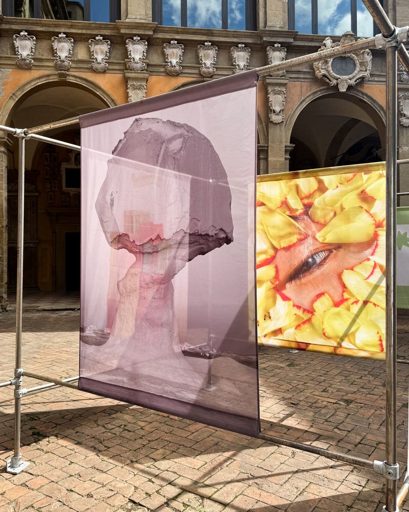 Collective exhibition CLOSER at Biblioteca dell'Archiginnasio