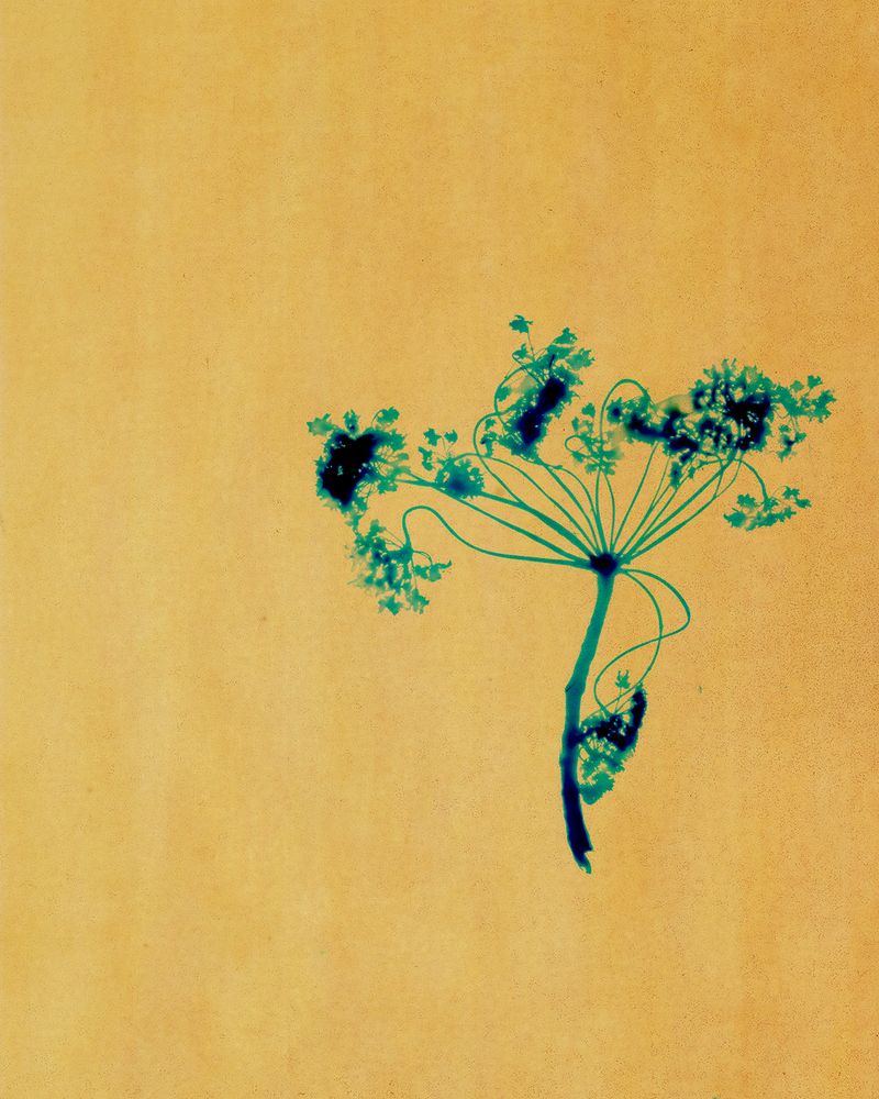 The Nuclear Waste Burial Sites of Central France