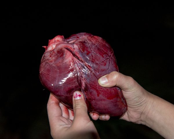 The Spiritual Relationship between Māori Communities and the Whanganui River