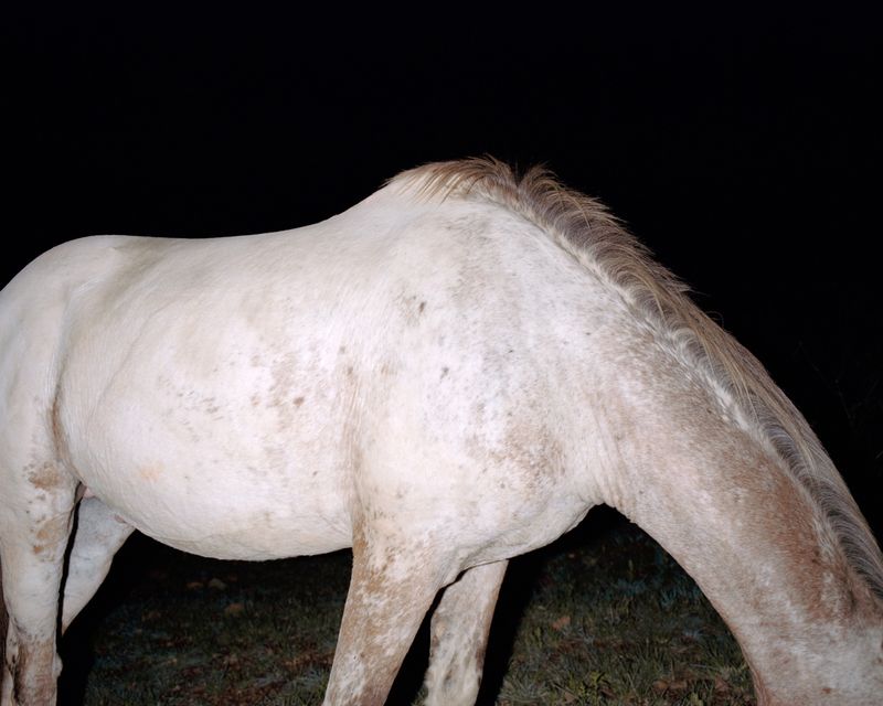 The Erased Narratives Of The South African Escarpment