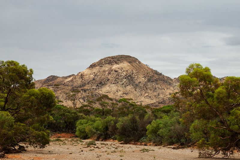 The Effects of Intensive Farming in Australia as Seen by Karoliina Kase